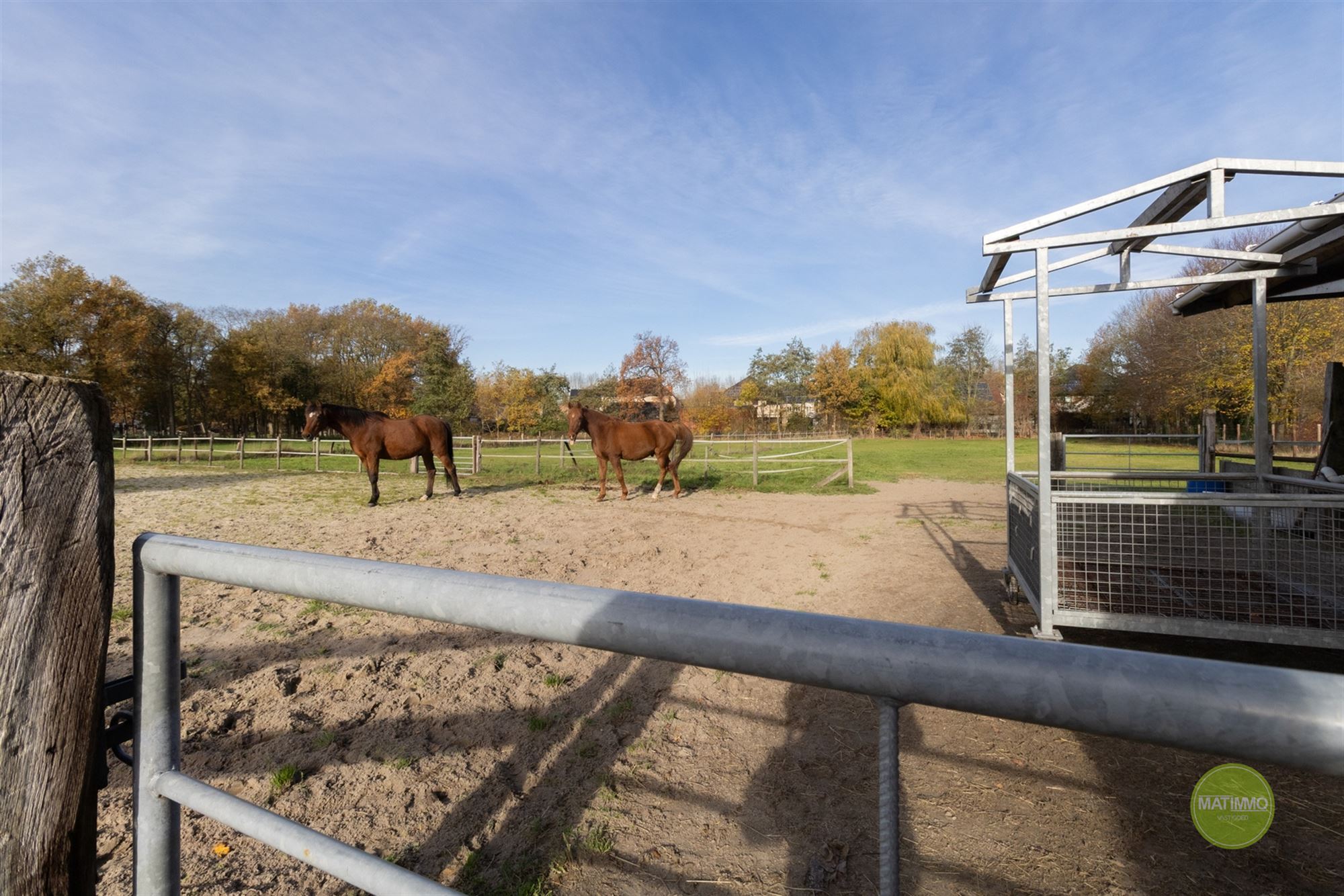 Gezinswoning met paardenweides op 5.791 m² in Mol foto 3