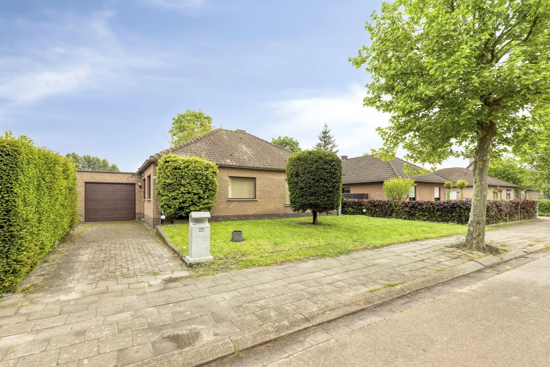 Laagbouwwoning met 2 slaapkamers, garage en tuin.  foto {{pictureIndex}}