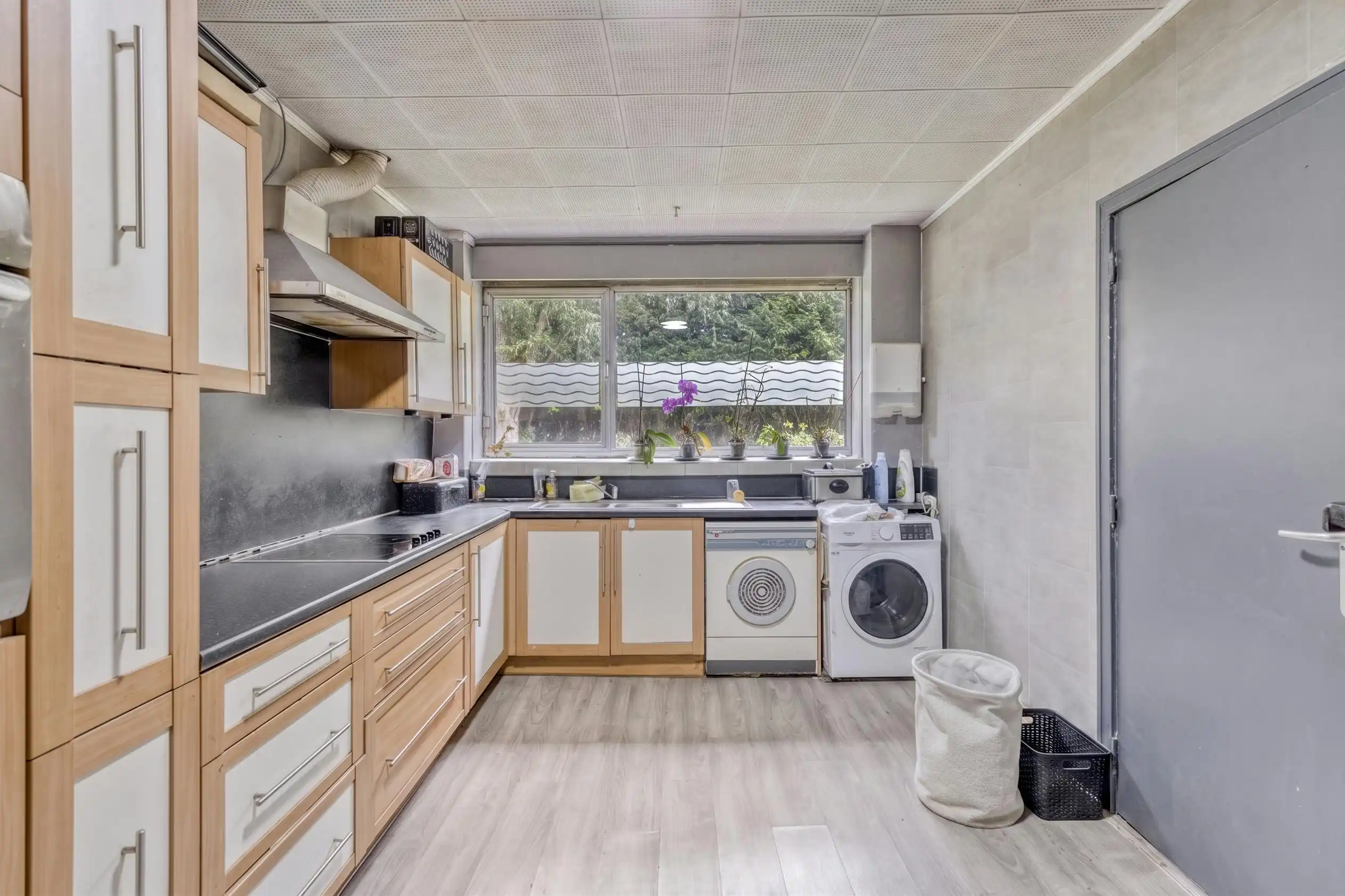 Unieke kans op een riant perceel van 3.180 m² te Aalter! foto 10
