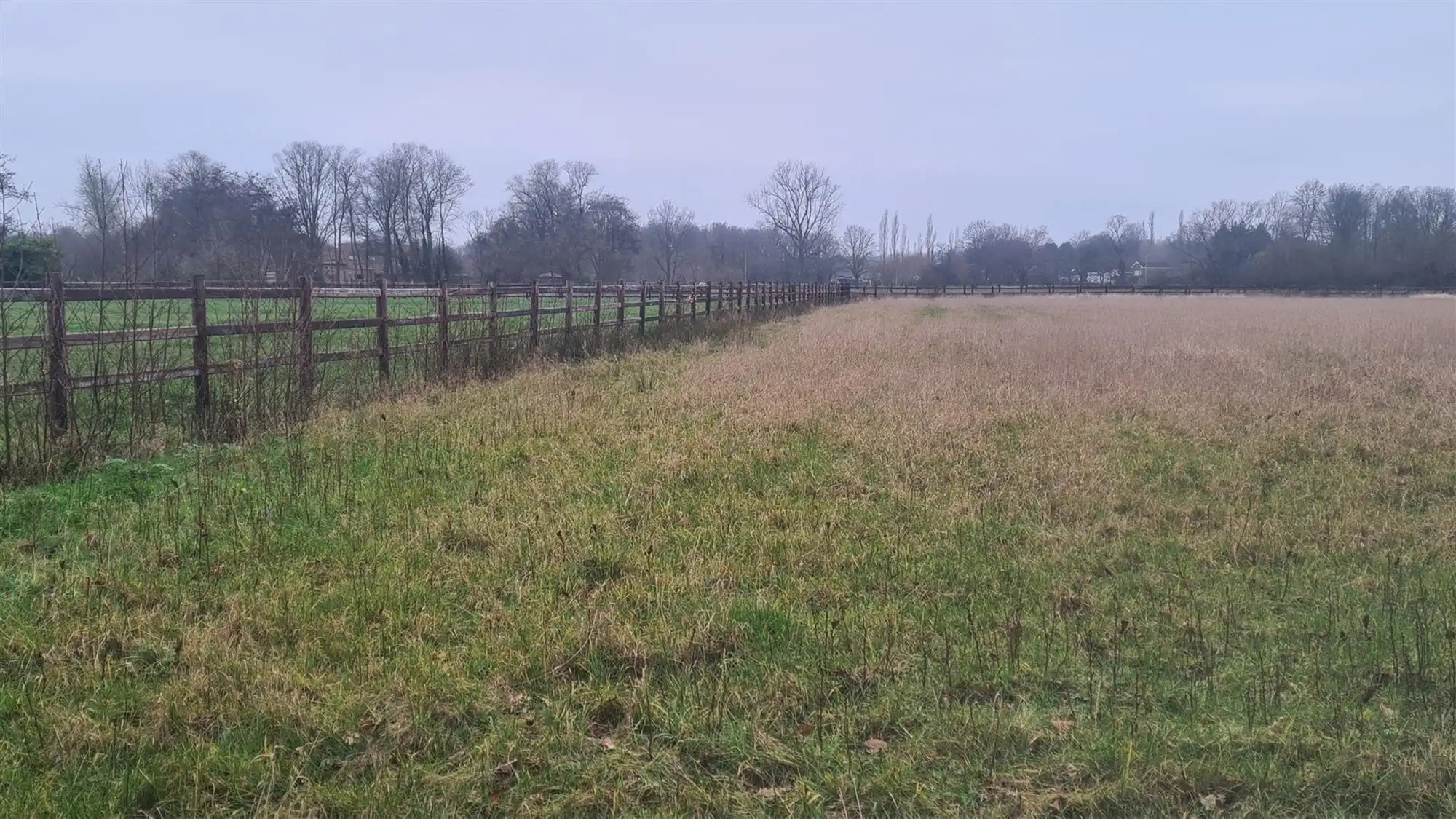 Landbouwgrond foto 4