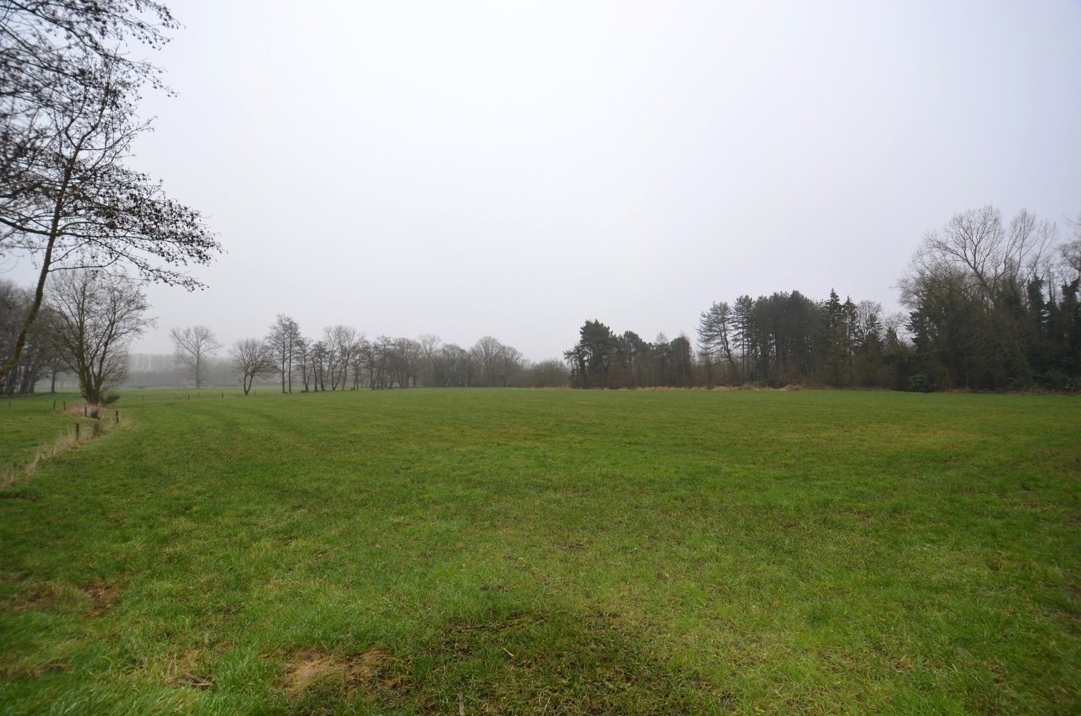 Landbouwgrond van 18.400 m² foto 4