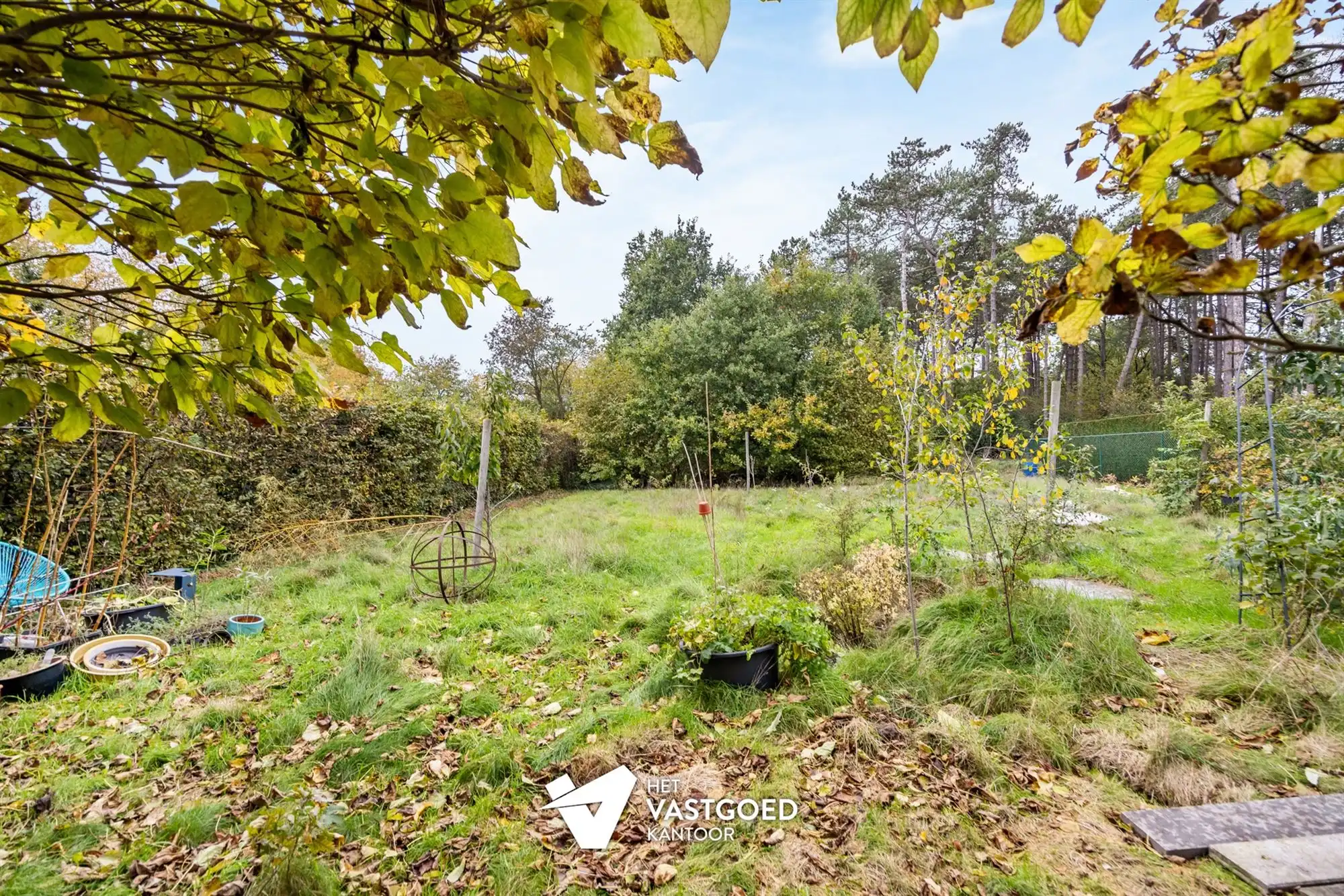 RUIME WONING MET COMMERCIELE OF MULTIFUNCTIONELE RUIMTE OP RUIM PERCEEL IN EEN GROENE OMGEVING foto 27