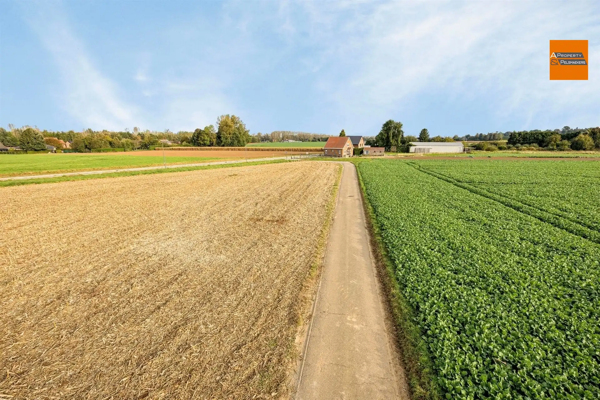 Ruime nieuwbouw villa met 4 slaapkamers foto 25