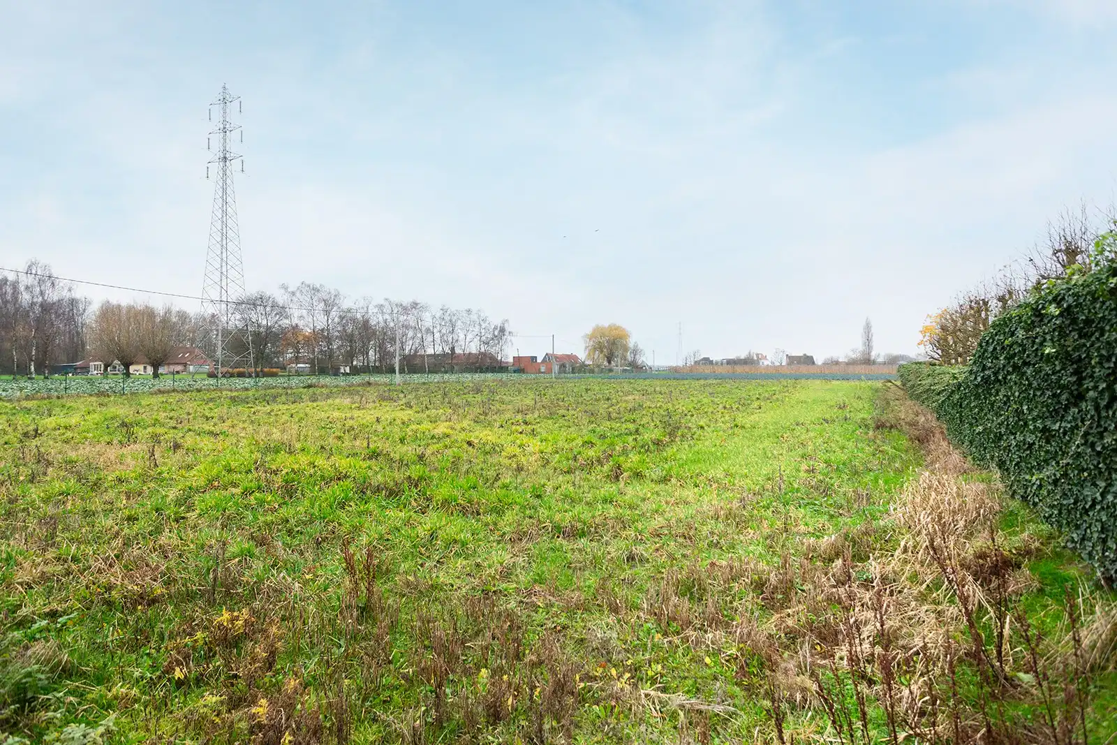 Charmante gezinswoning op 6.217 m² foto 30