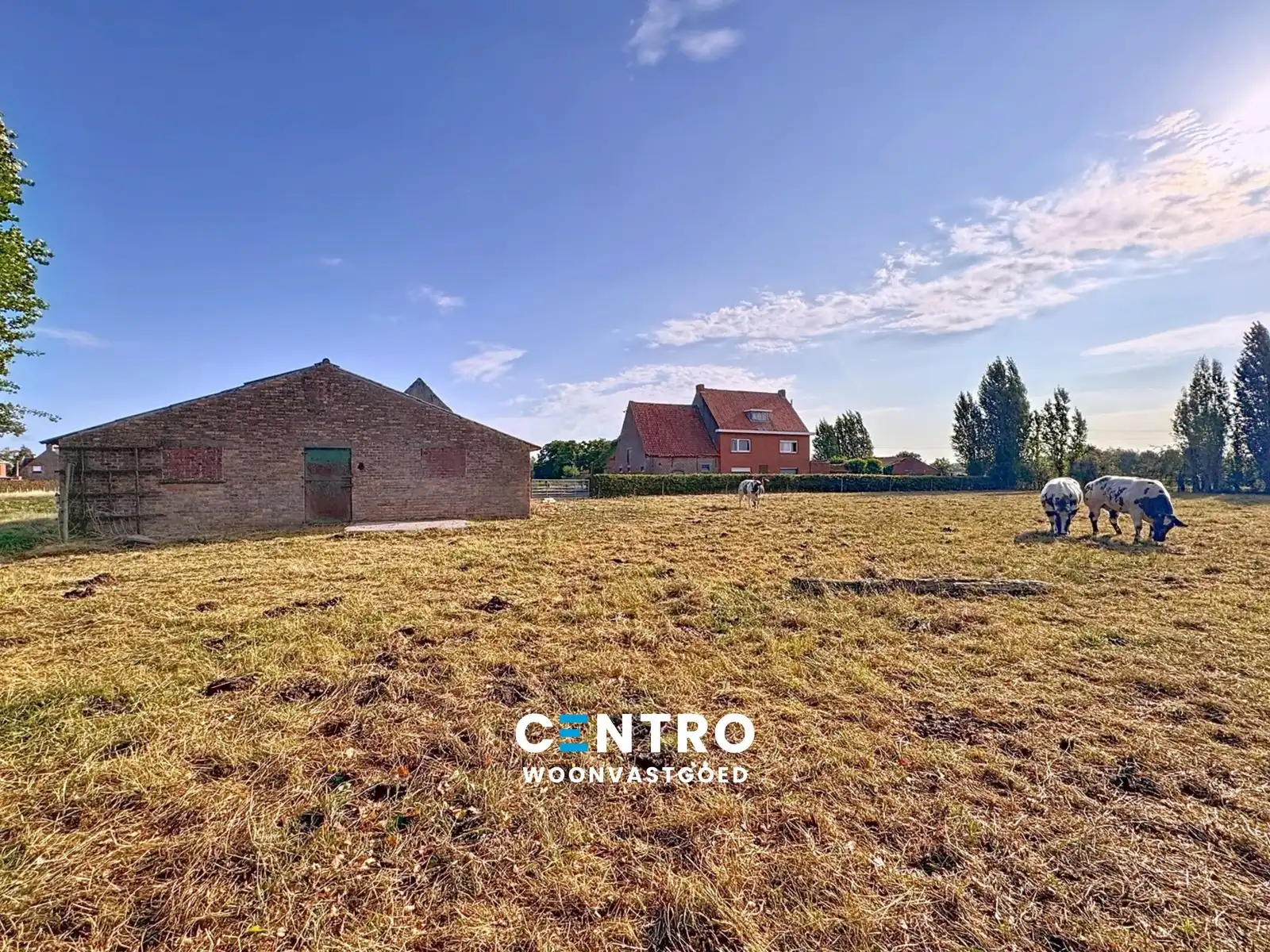 Te renoveren hoeve op circa 1 ha op GOEDE ligging! foto 8