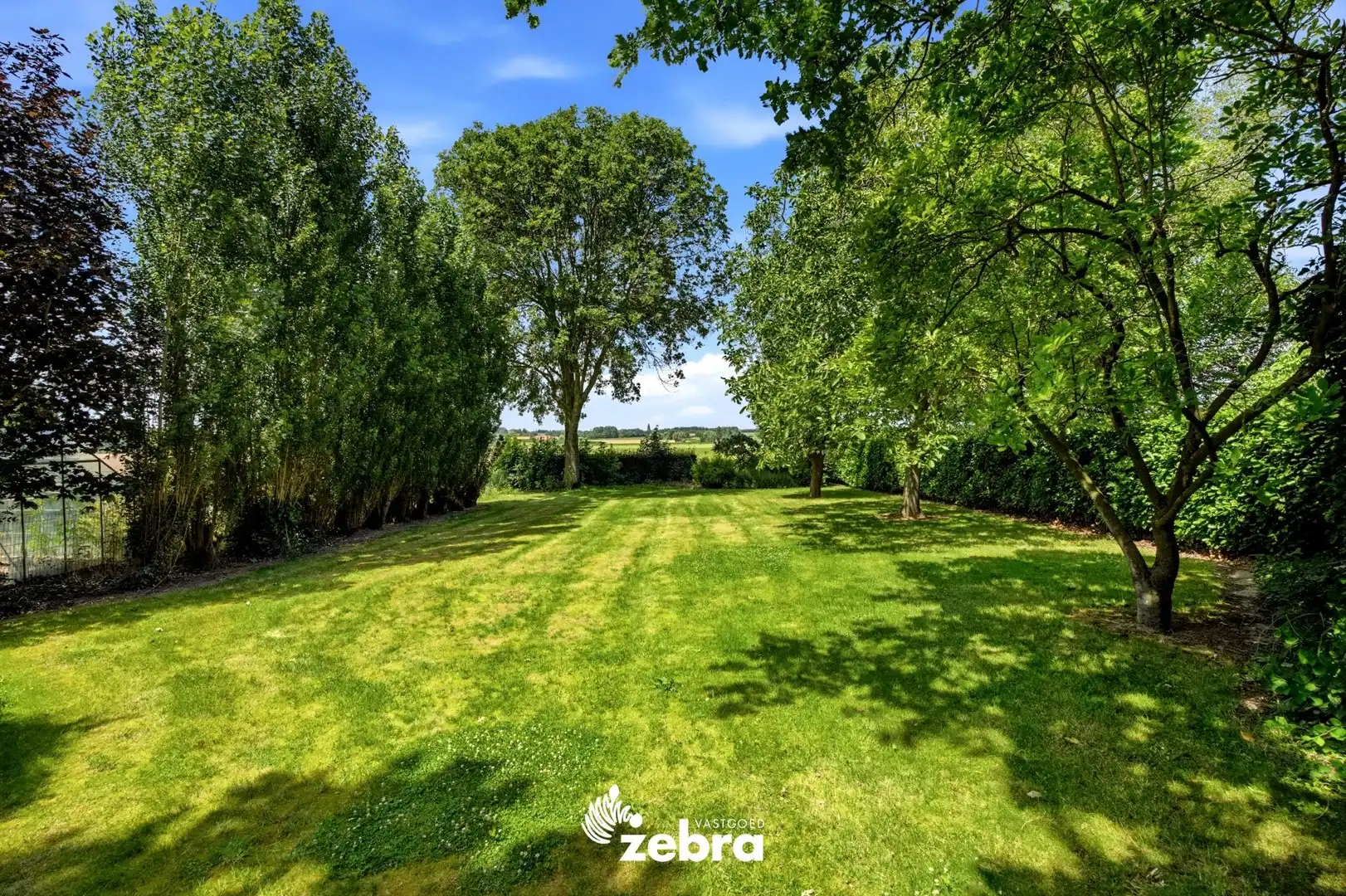 Te renoveren woning op een uitzonderlijk ruim perceel nabij het centrum van Tielt! foto 23