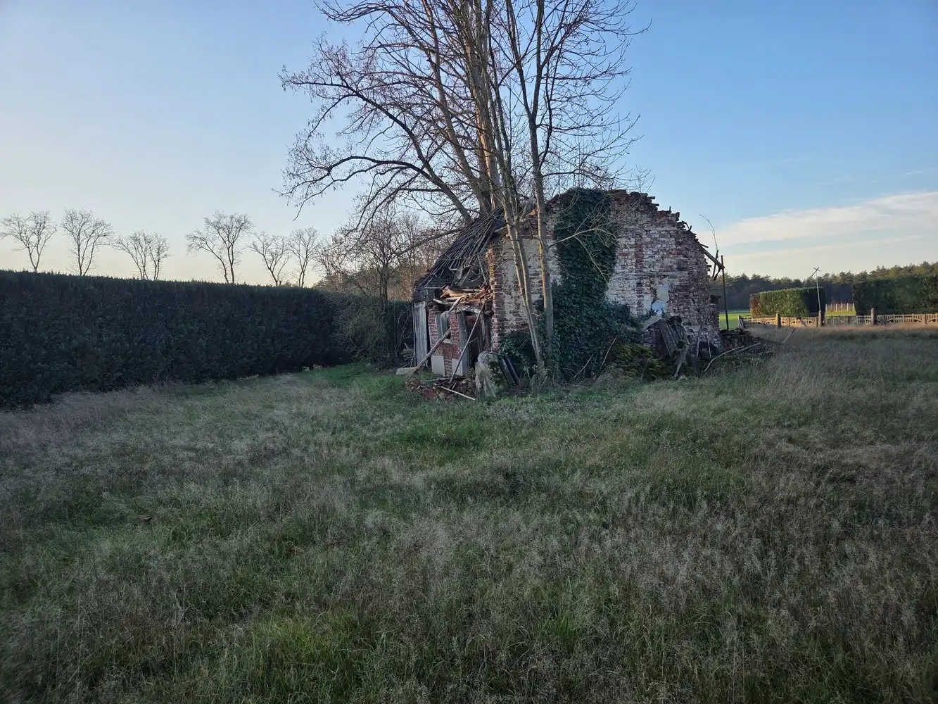 Mooie bouwgrond met prachtig uitzicht te Hechtel-Eksel foto 6