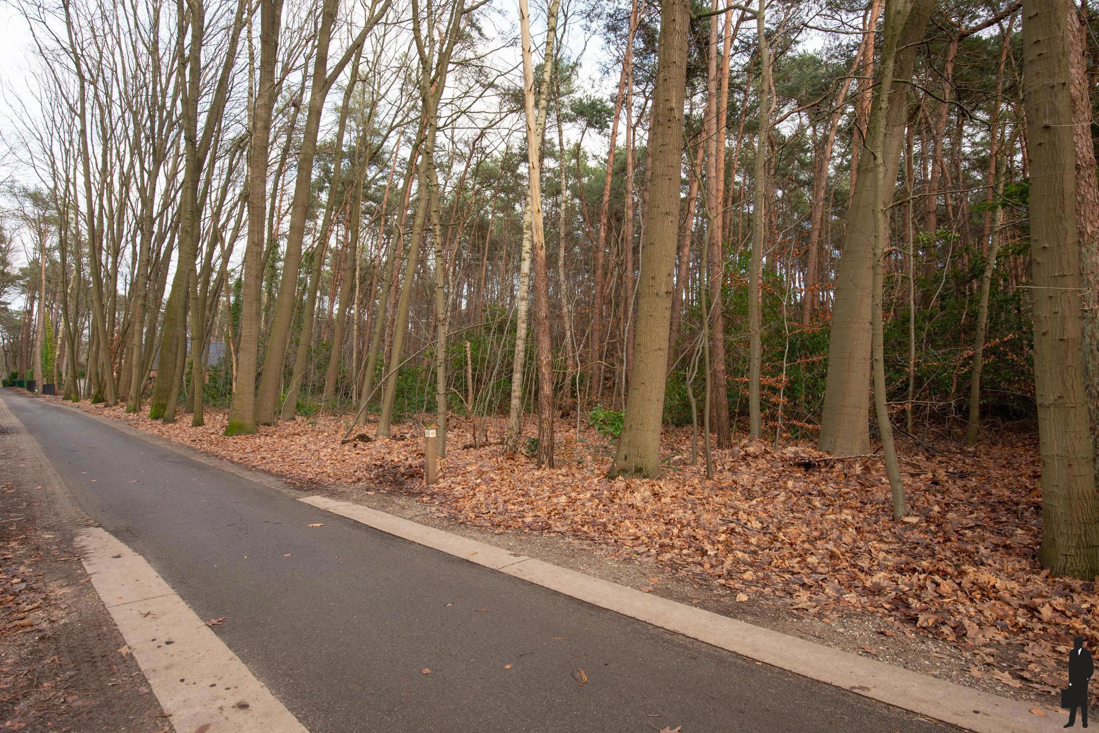 Perceel grond in bosrijke omgeving. foto 3