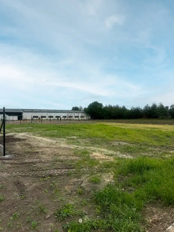 Alleenstaande nieuwbouwwoning op ruim perceel in Wingene foto 2