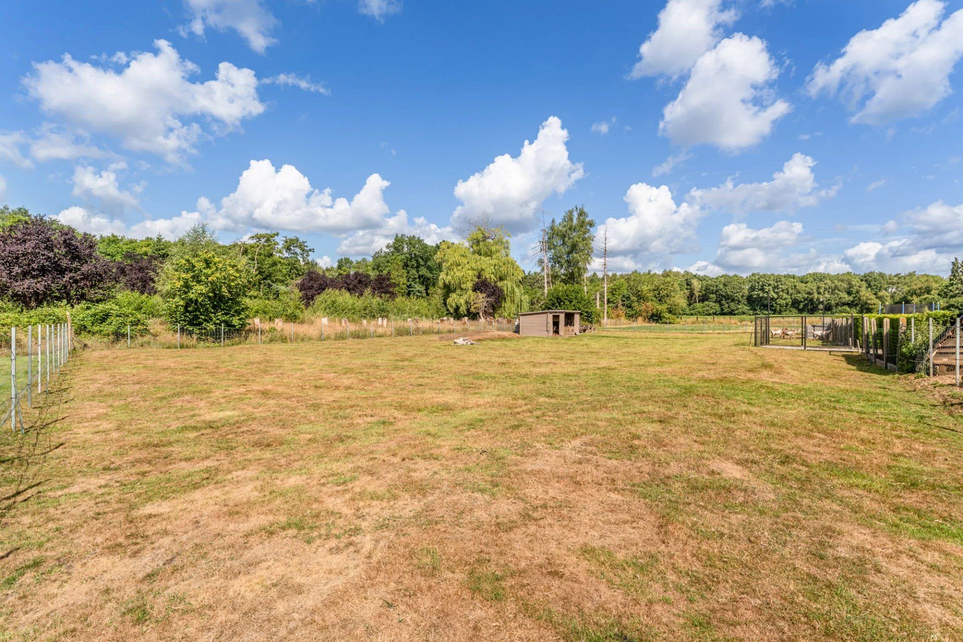 Ruime gezinswoning met weiland te Beverlo foto 28