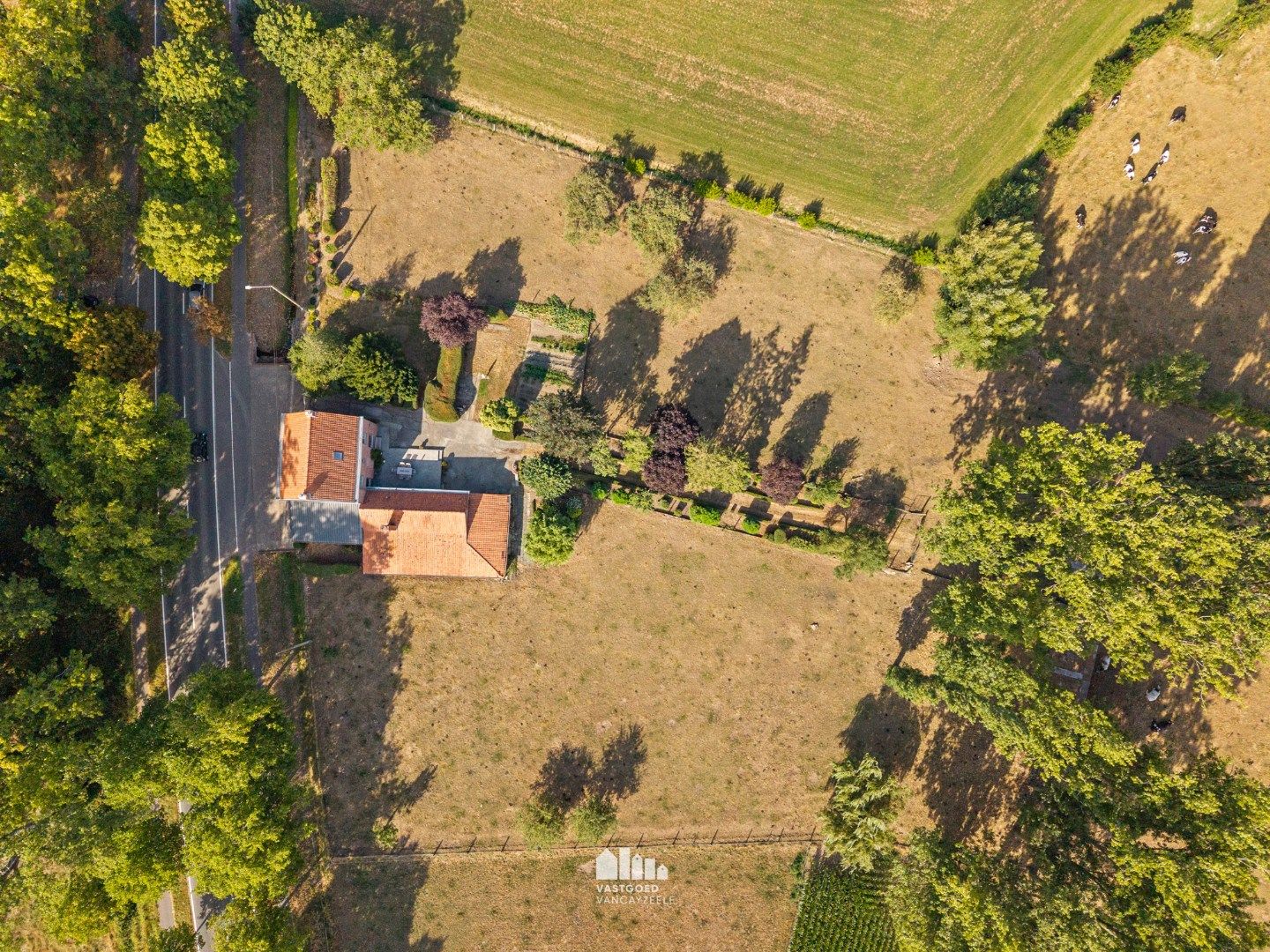 Woning met prachtig open zicht op tuin/weide en achterliggende velden – perceel van 1,67 HA foto 28