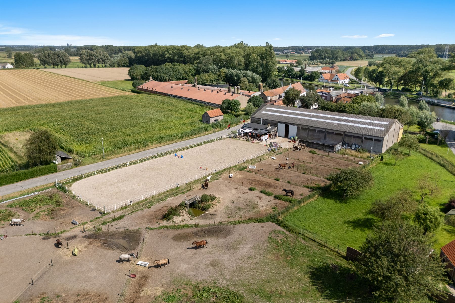 Charmante paardenmanège met woonruimte en gezellig café in Varsenare foto 6