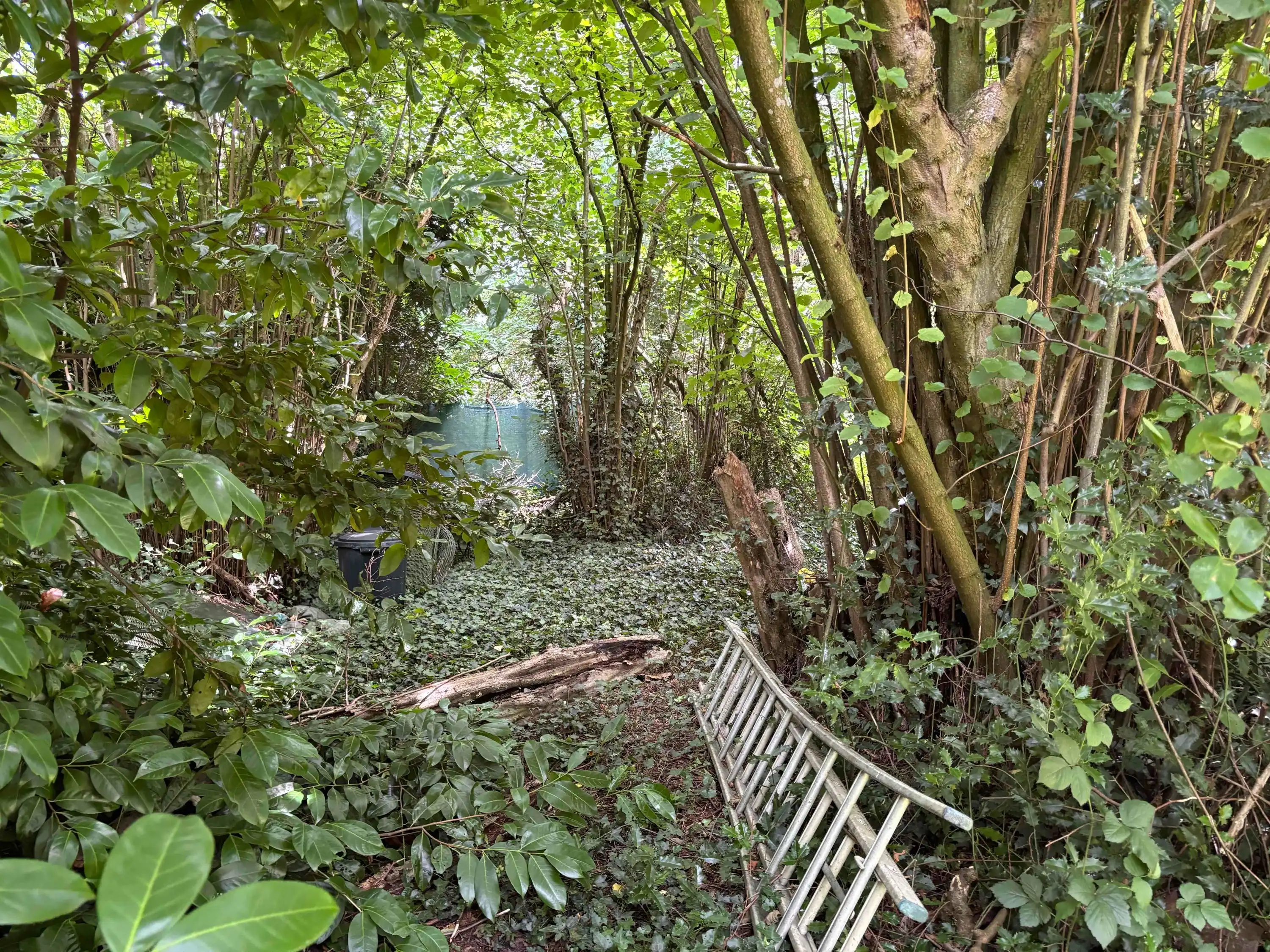 Prachtige woonst op 45a51ca in Meerhout foto 8