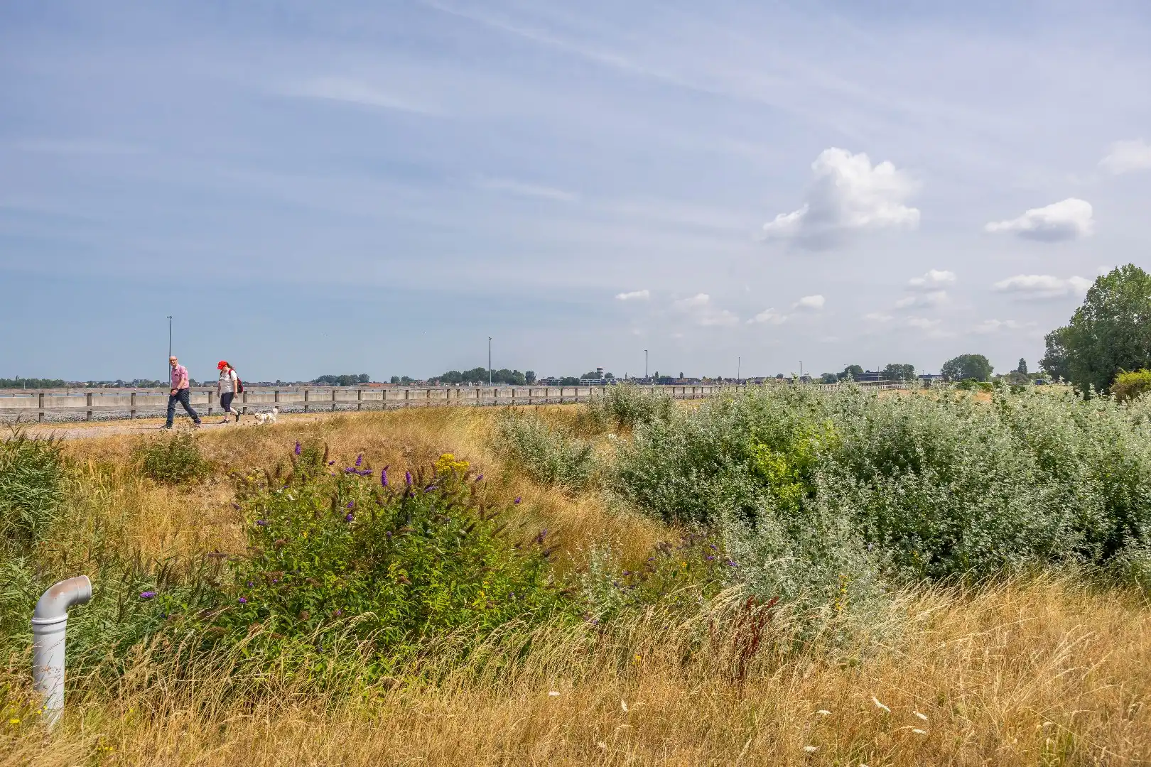 Ontdek De Blauwe Parels, rustig en kwalitatief wonen op een toplocatie nabij de spuikom van Bredene/Oostende.  foto 15