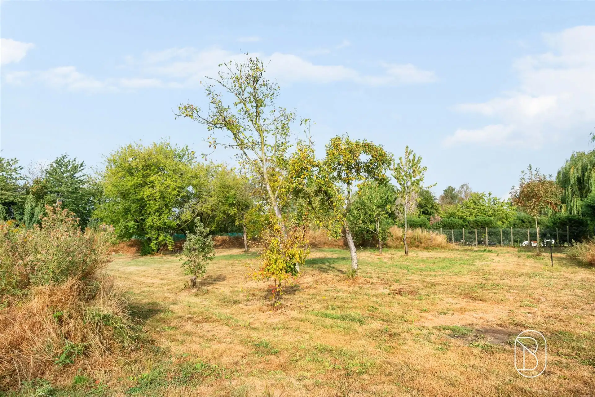 Gerenoveerde landelijk gelegen villa op 2500m2 -EPC A! foto 5