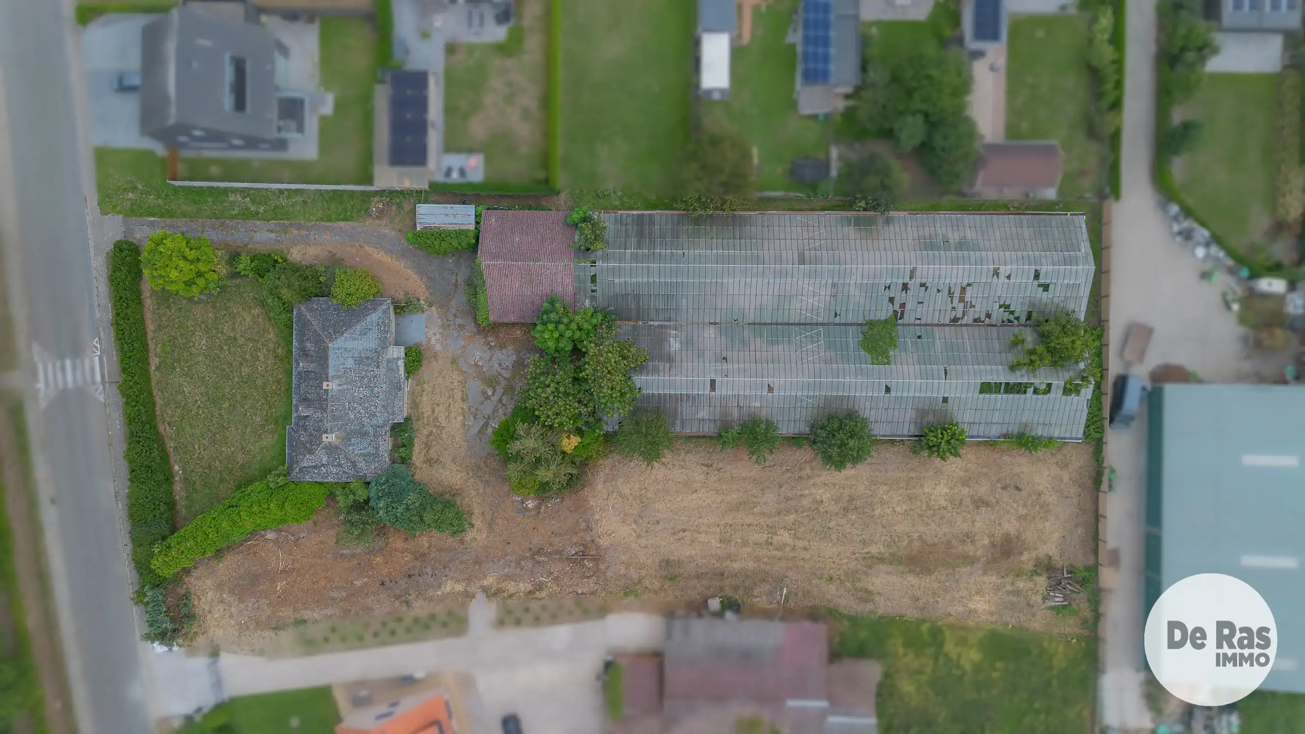 WICHELEN - Te renoveren landbouwwoning met weide en serre foto 2