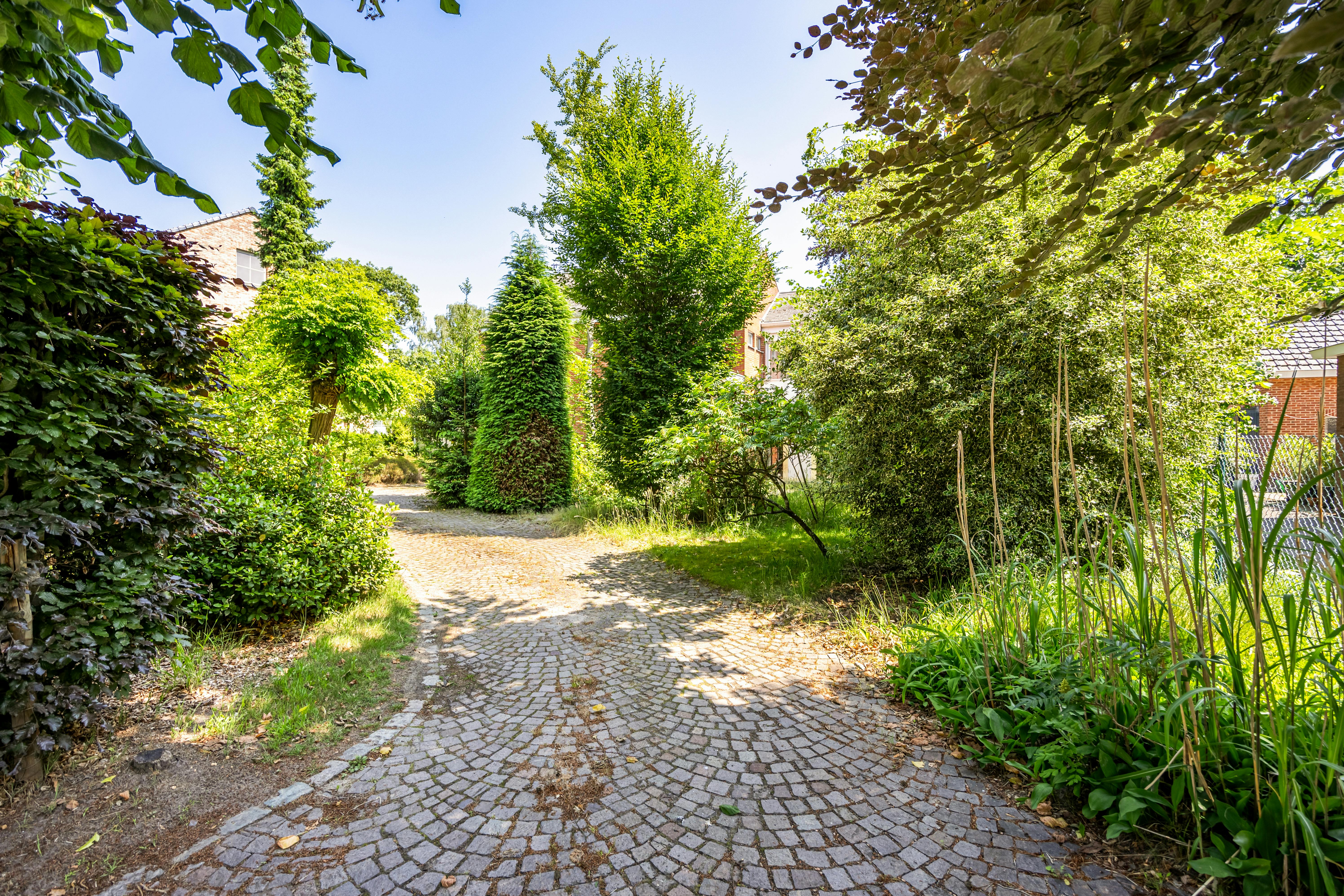 Te renoveren ruime gezinswoning met 5 slaapkamers te Hasselt foto 3