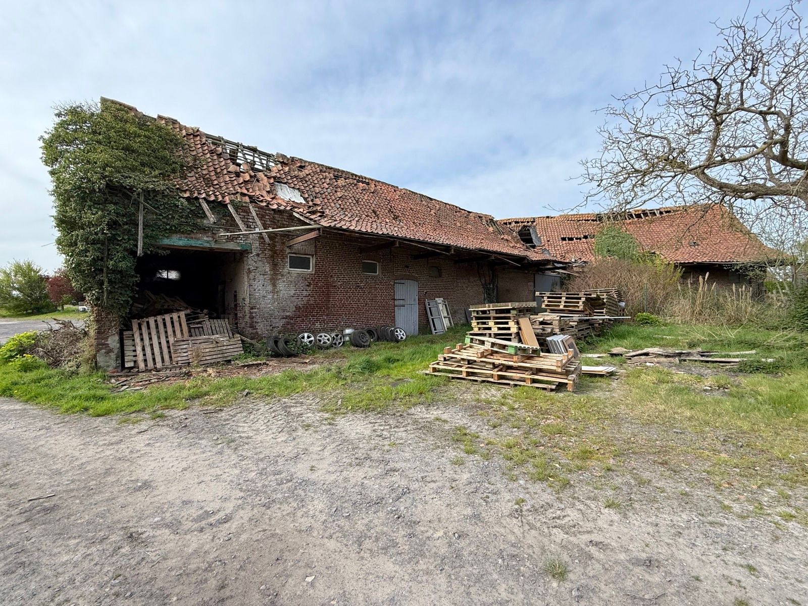 Te renoveren hoeve met woning en verschillende bijgebouwen foto 9