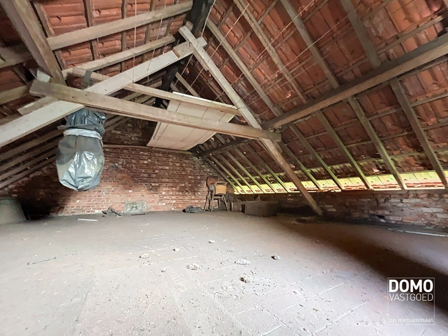 Authentieke open bebouwing met bijgebouwen en potentieel in Tuilt-Kuringen foto 23