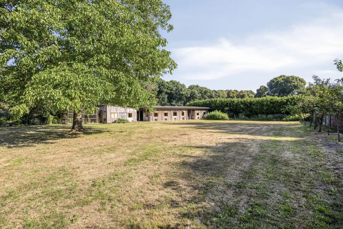 te renoveren huis op een perceel van 2445m² te koop in Geel foto 6