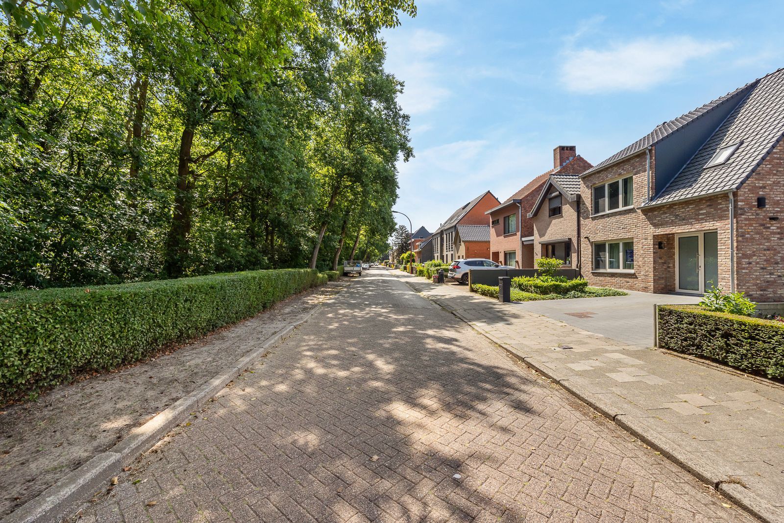 Instapklare woning met karakter, licht en ruimte in Hoevenen ! foto 28