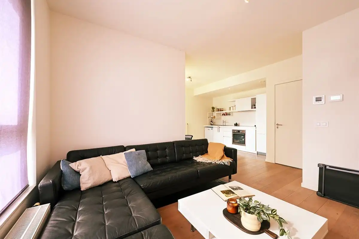 Lichtrijk appartement met terras op het Eilandje foto 6