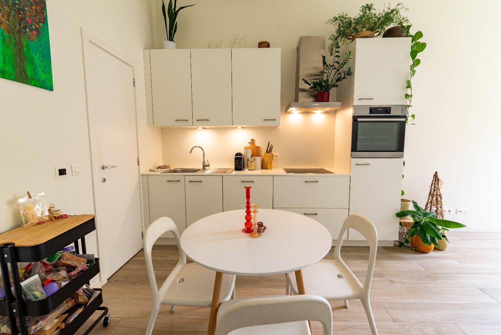 Gelijkvloers appartement met gezellige tuin foto 5