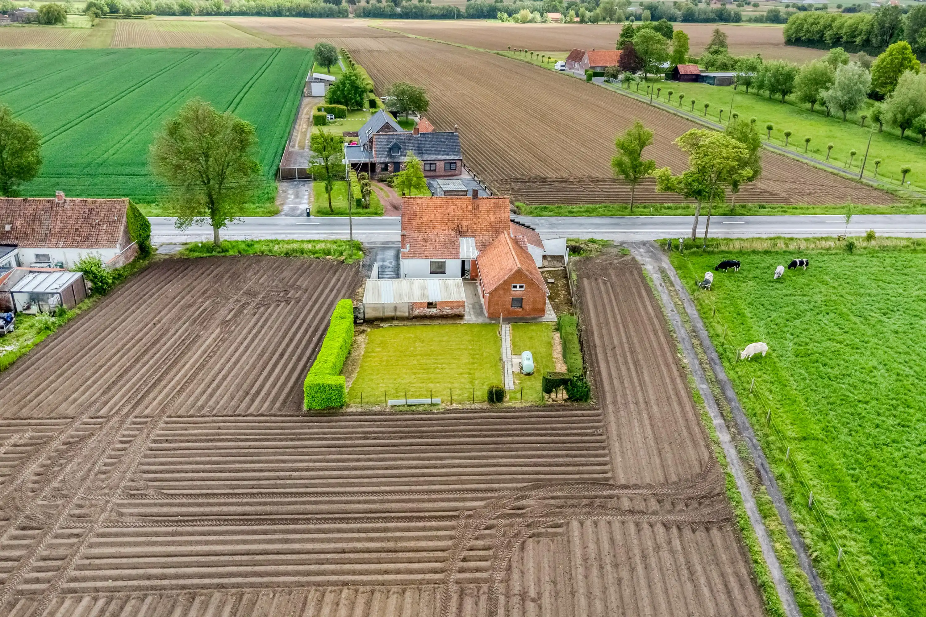 Alleenstaand huis te koop in de Abeelseweg in Poperinge foto 3