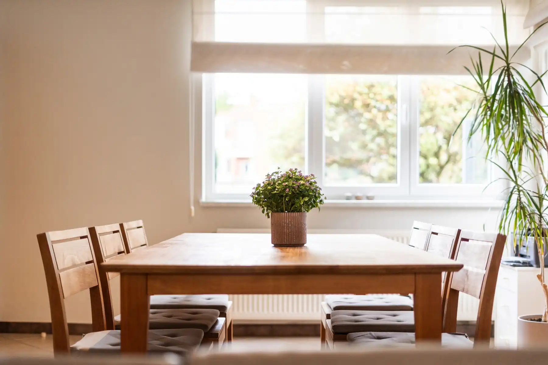Gezinswoning met 2 slaapkamers, zolder, grote tuin en garage foto 7