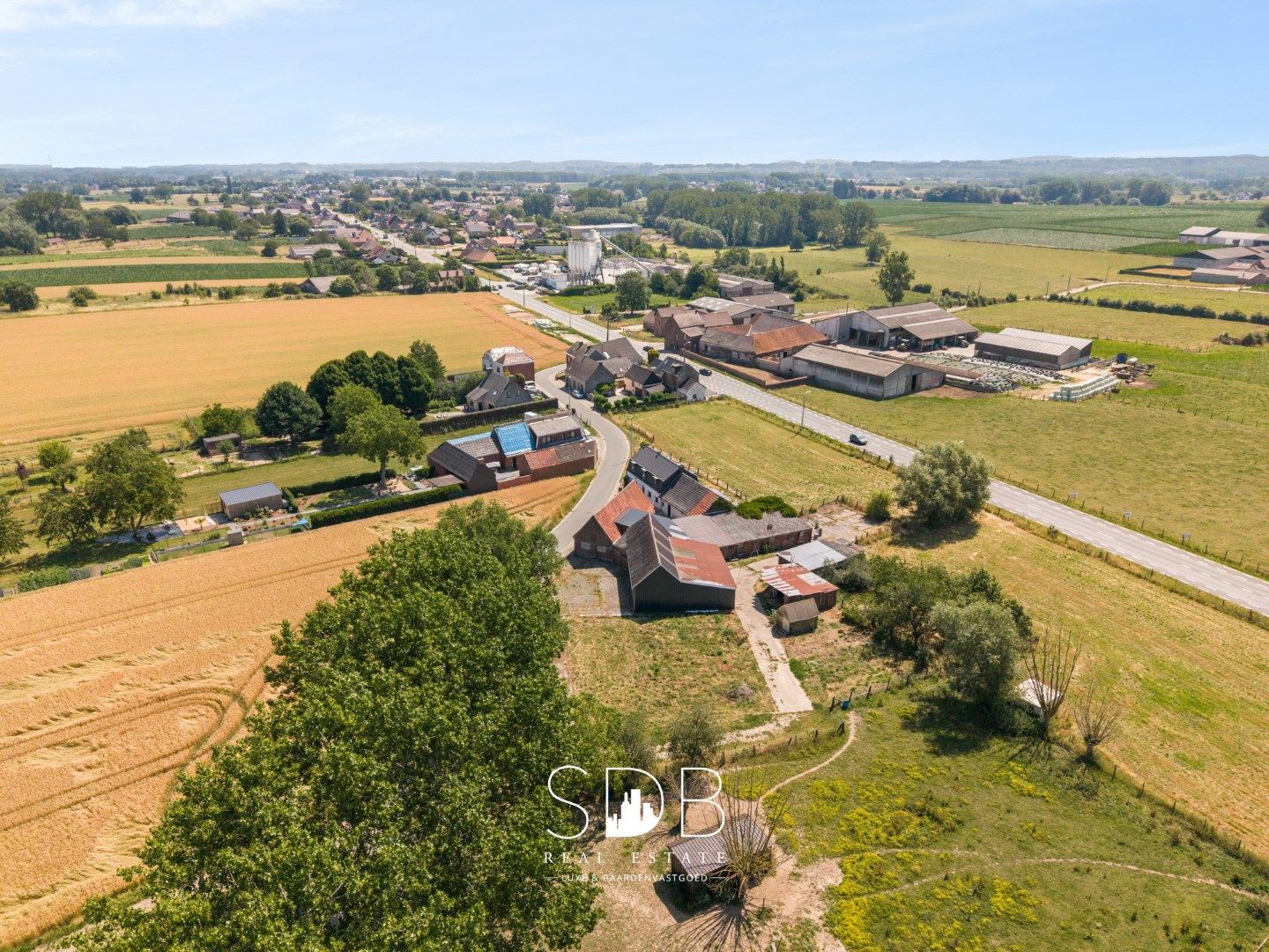 Charmante hoeve met bijgebouwen en graslanden op 27.559m² foto 5