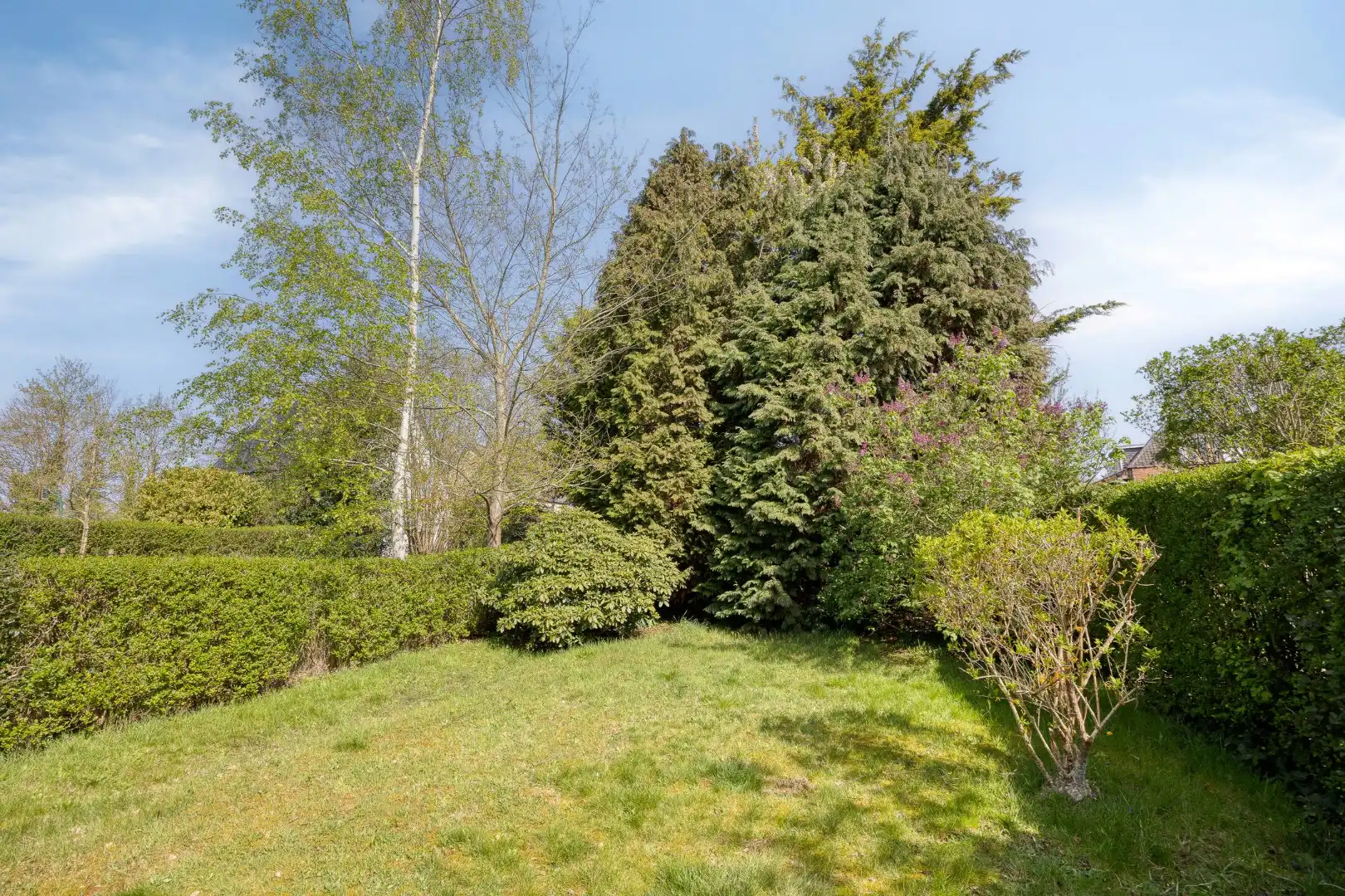 WONING 3 kamers en garage 1640 SINT-GENESIUS-RODE foto 3