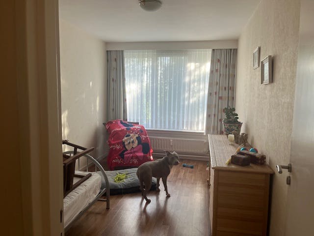 Ruim 3-slaapkamerappartement met terras en garagebox in hartje Genk foto 24