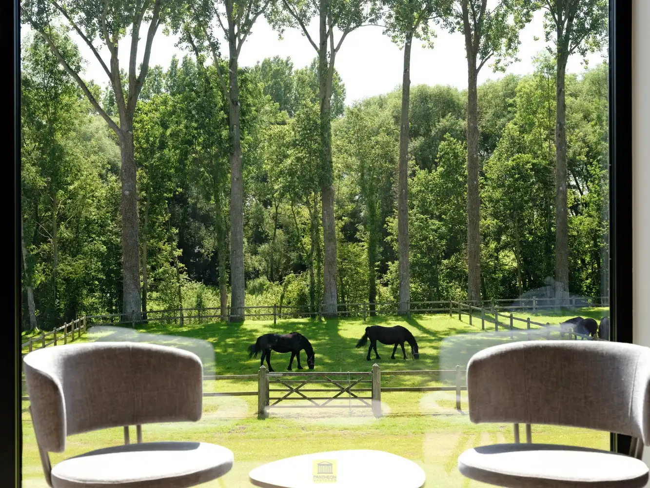 Uitzonderlijk pand - manege met gastenverblijf foto 16