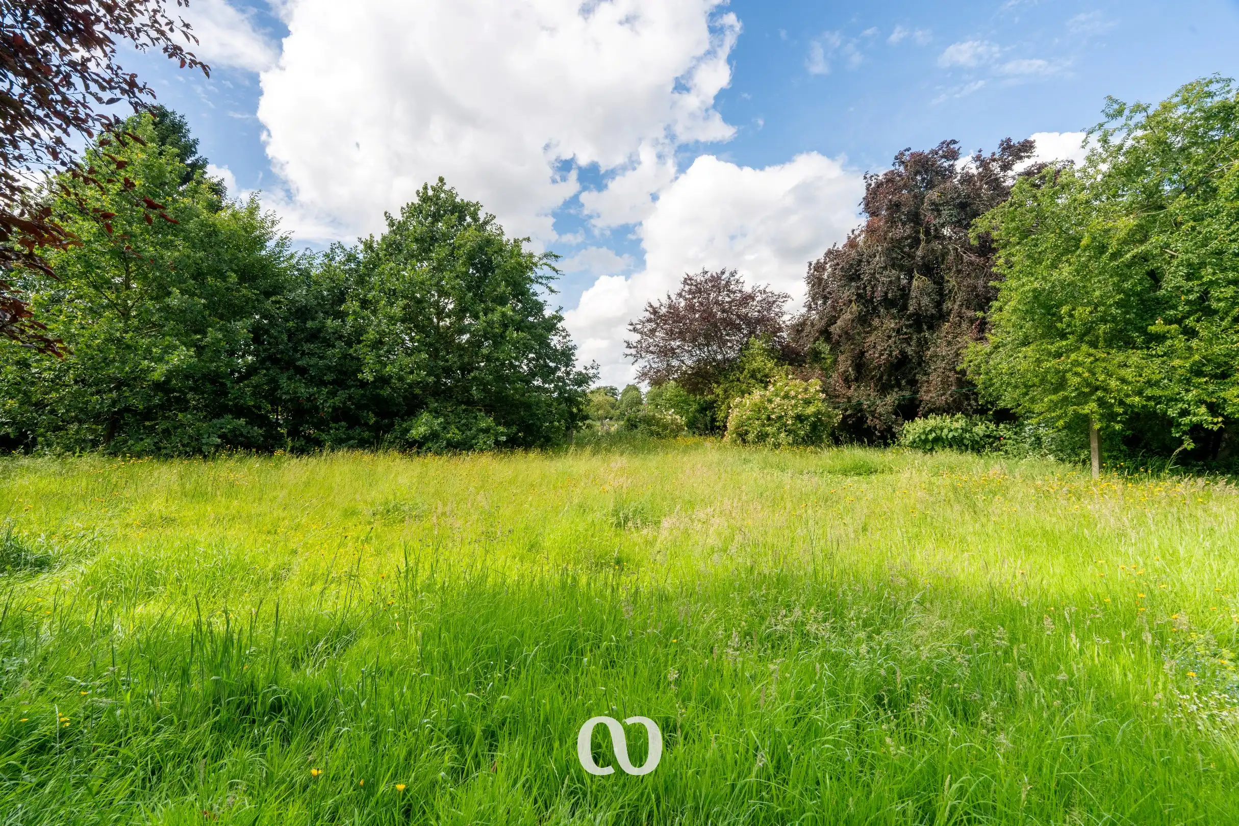 Ruime woning op meer dan 6.500 m² in Avelgem foto 29