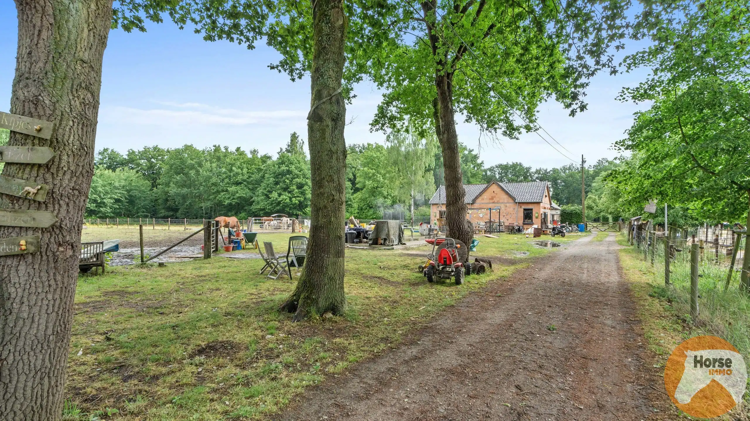 ITEGEM - Rustig gelegen woning en bijgebouw op 2,4Ha foto 5
