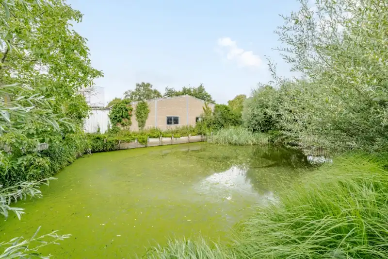 Woning met loods op 13.656m² foto 17