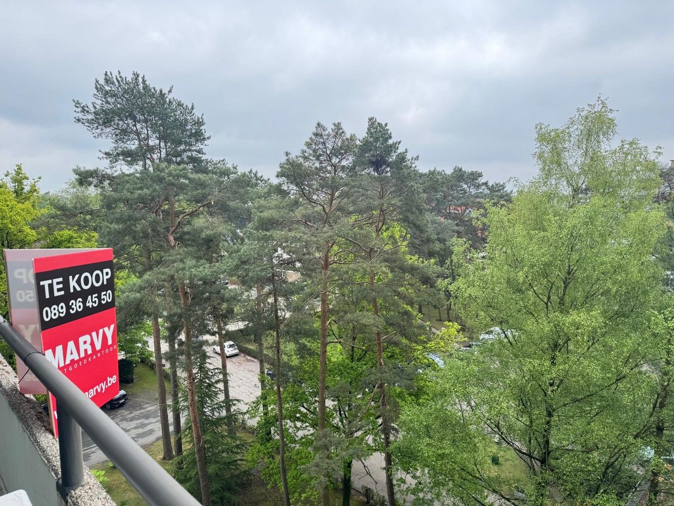 CHARMANT RUIM APPARTEMENT TUSSEN HET GROEN foto 11