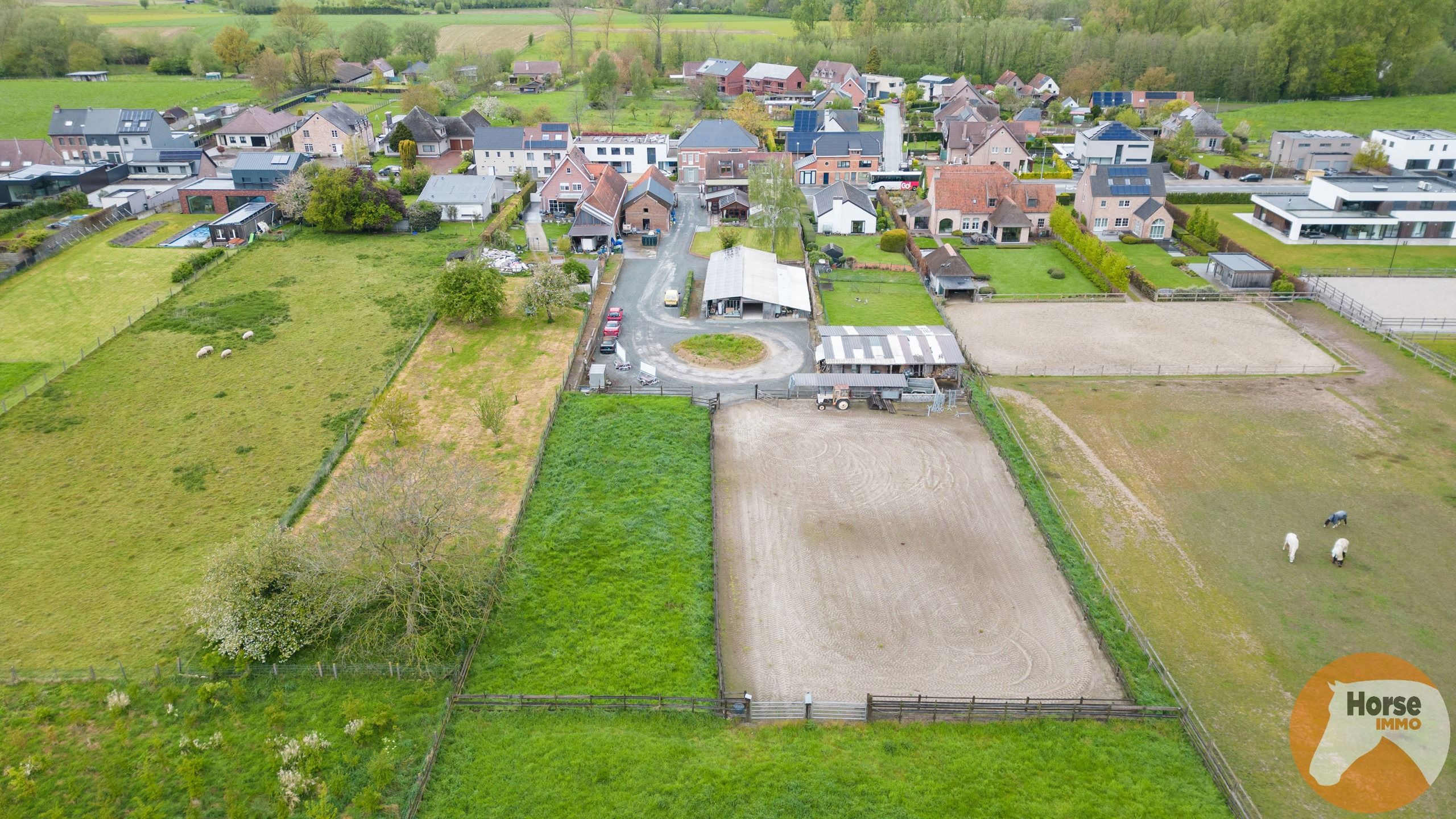 ASPELARE - Goeddraaiende frituur met ruime woning en paardenfaciliteiten. foto 3