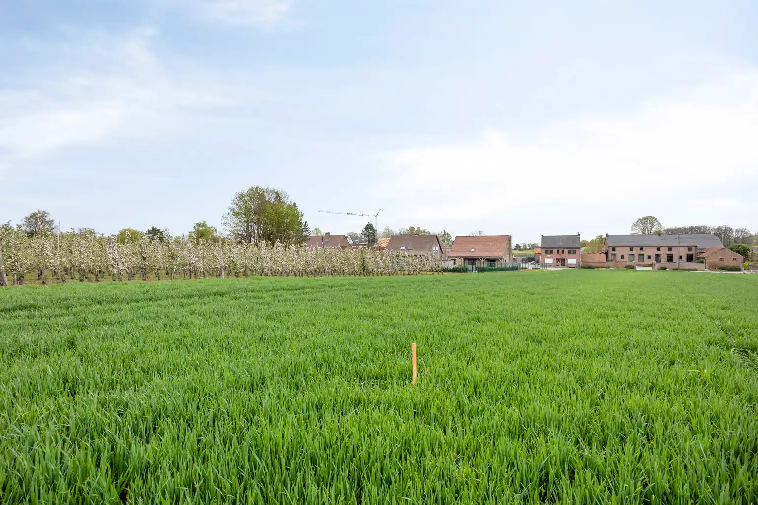 MOOI GELEGEN BOUWGRONDEN IN GLABBEEK (LOT2) foto 5