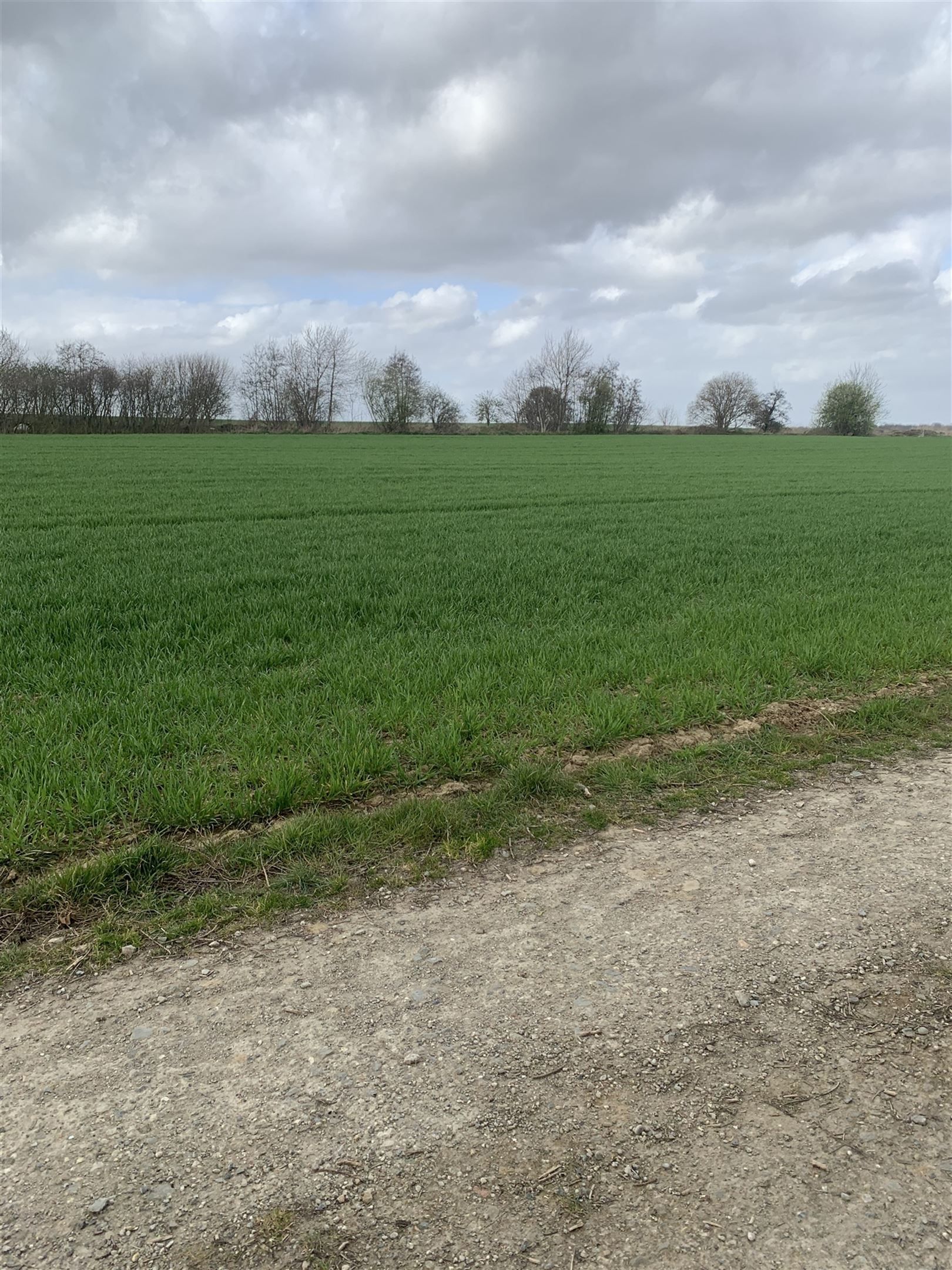 Bouwgrond foto 5