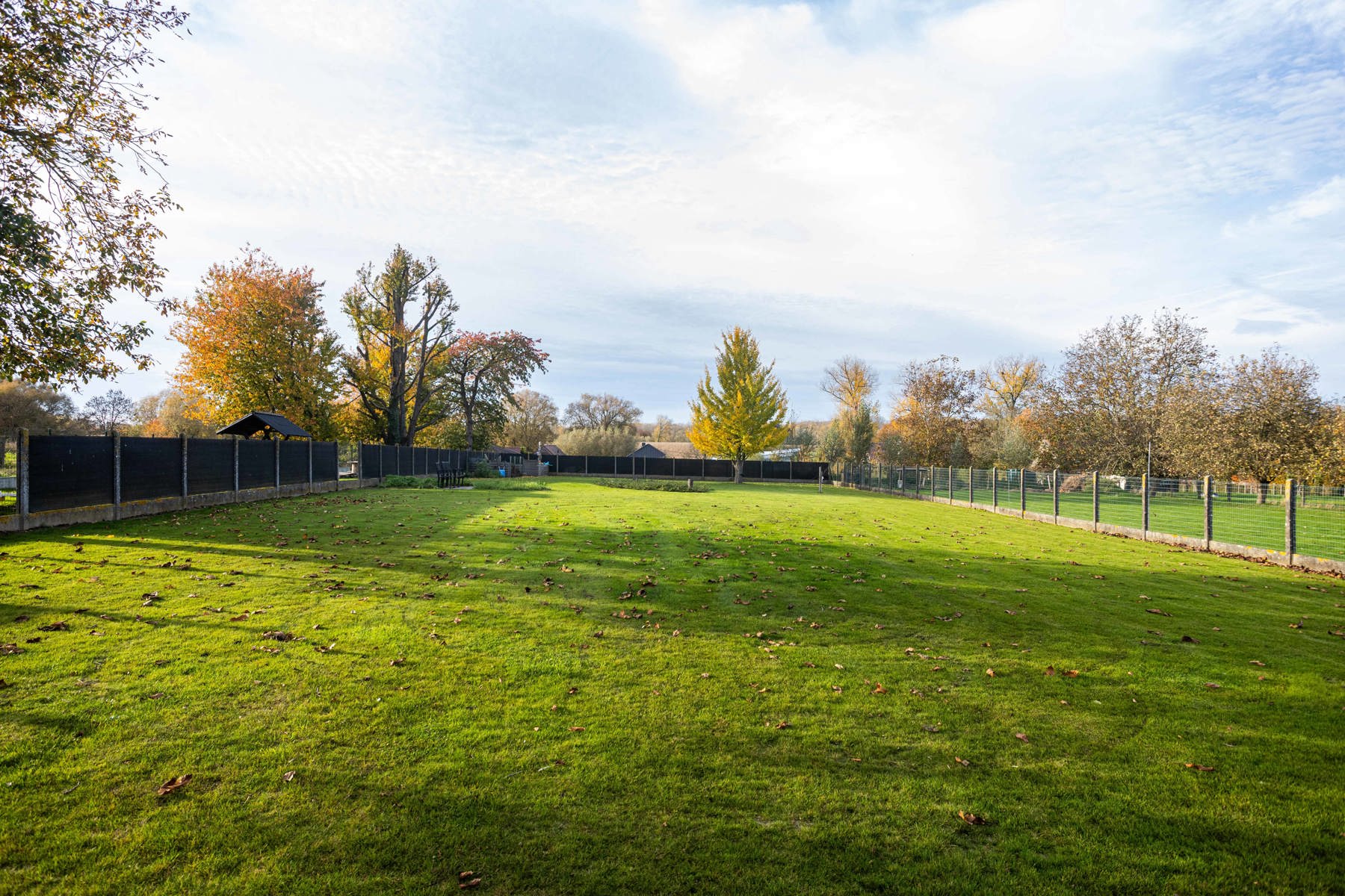 Instapklare bungalow met 3 slaapkamers en ruime tuin. foto 28