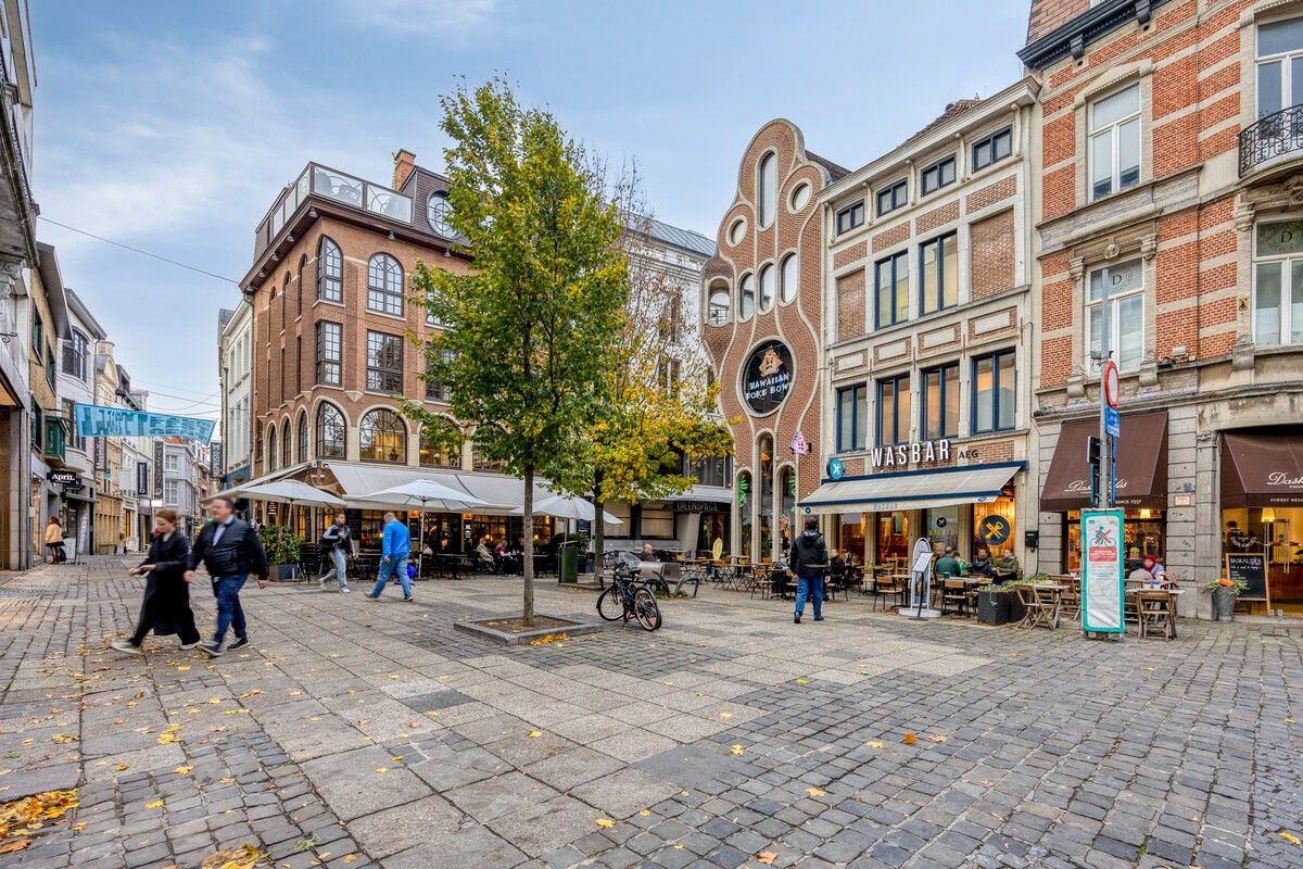 Exclusief stadsappartement met karakter en groot terras aan het Belfort. foto 33