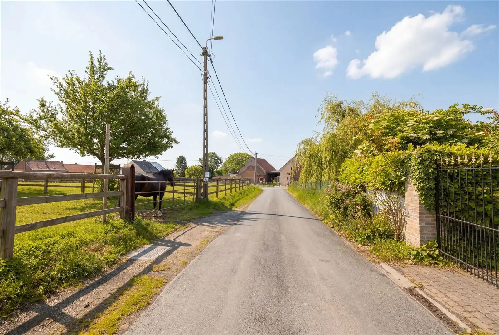 Prachtig gelegen te renoveren  Hoeve woning met stallingen en weides foto 31