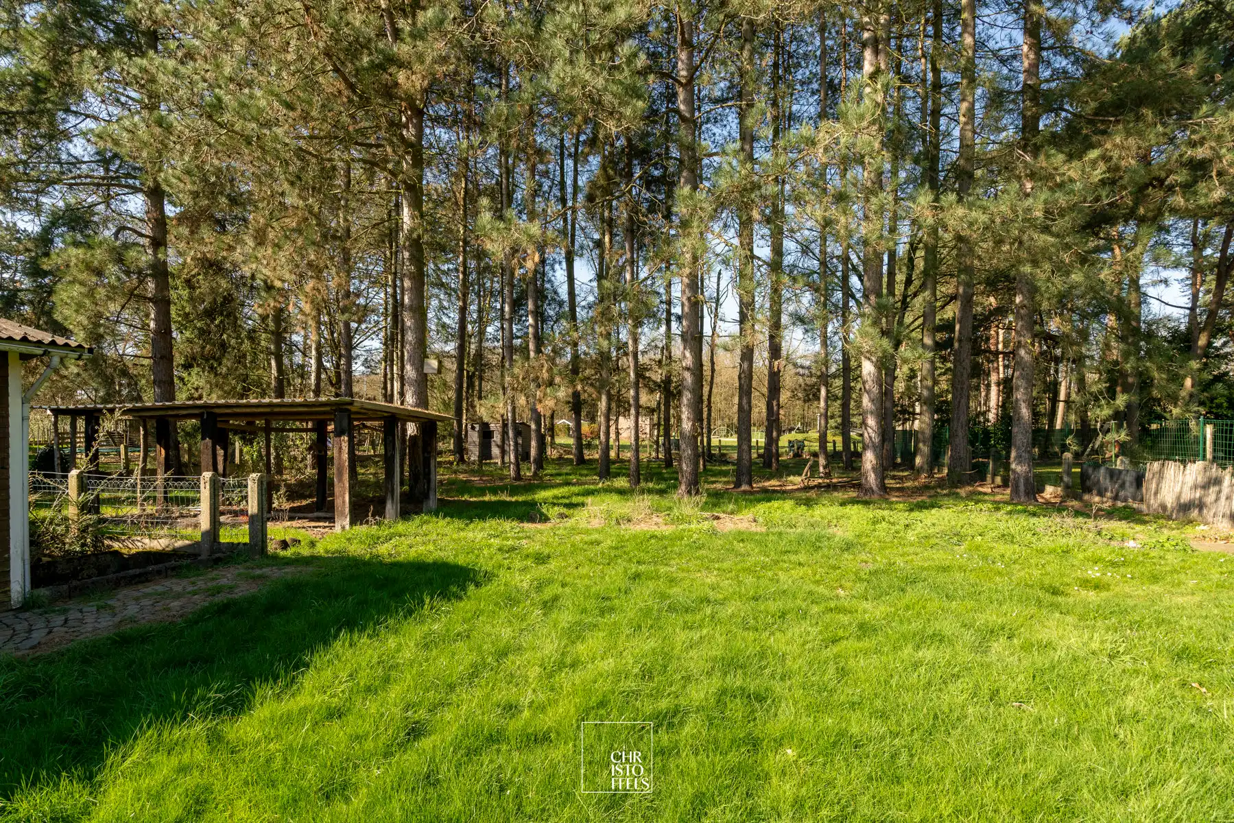 Bungalow op ruim perceel (2000m²) in een groene, rustige omgeving te Gellik-Lanaken! foto 8