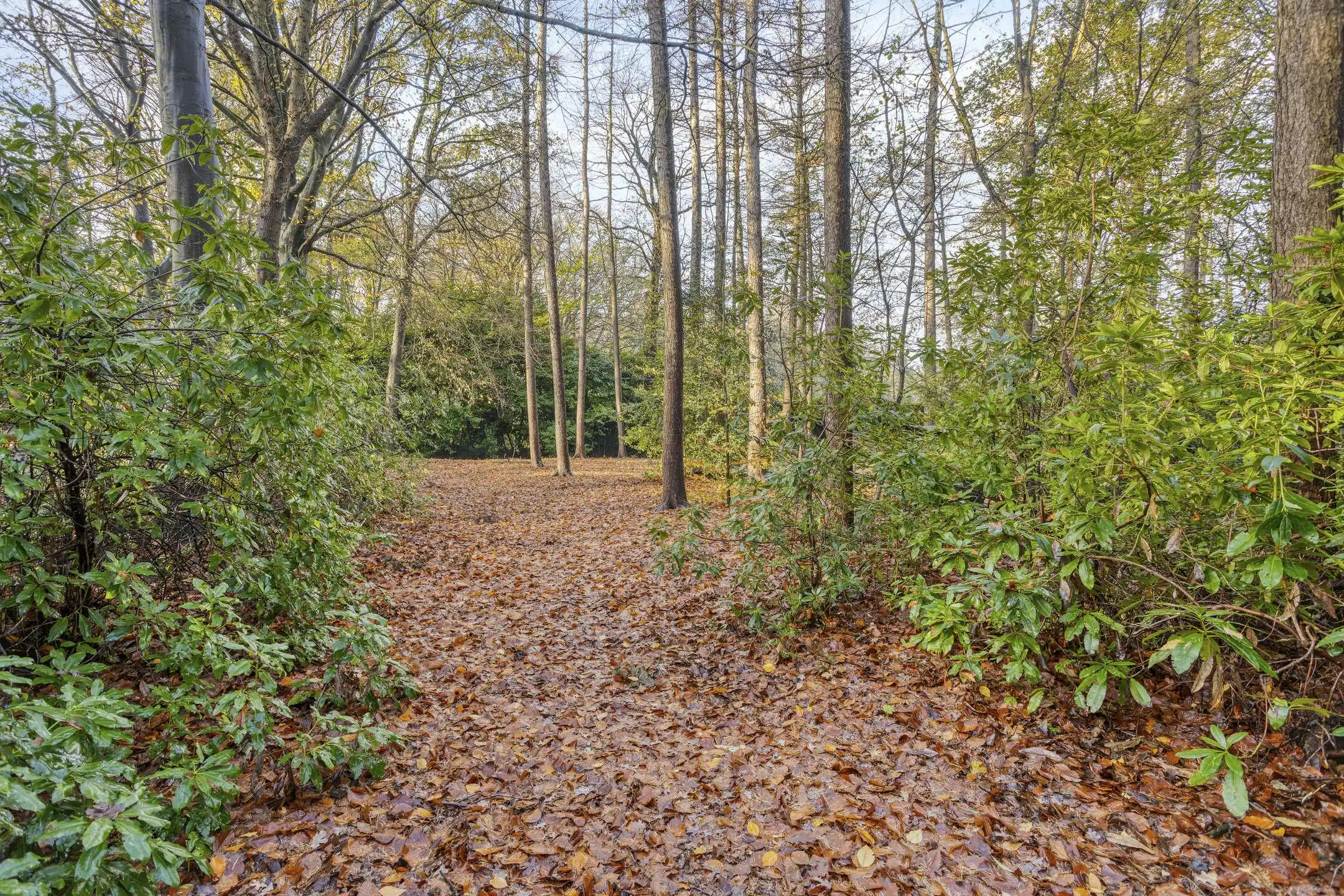 Bouwgrond (2527 m²) op schitterende locatie te Varsenare foto 5