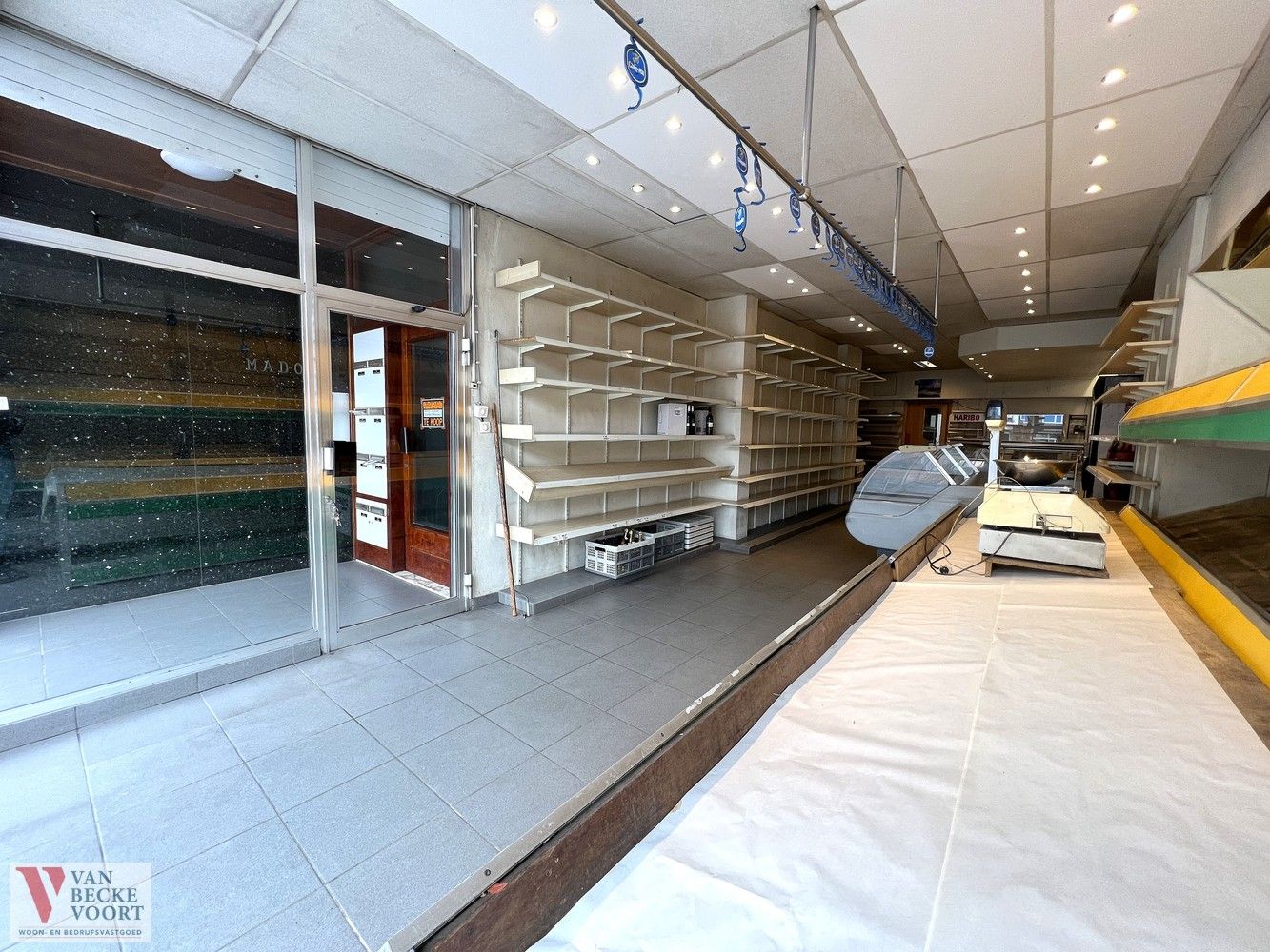 Handelsgelijkvloers met woonst 314m² foto 3