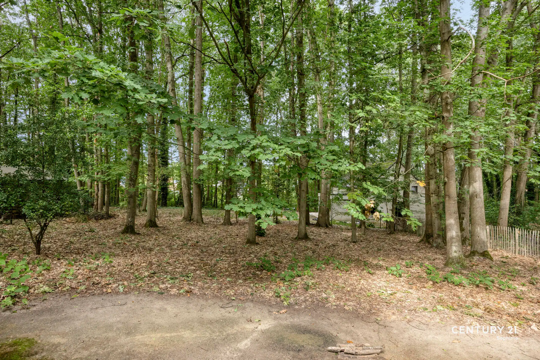 Ruime open bebouwing op 12 are in rustig Heikant – Rotselaar foto 25