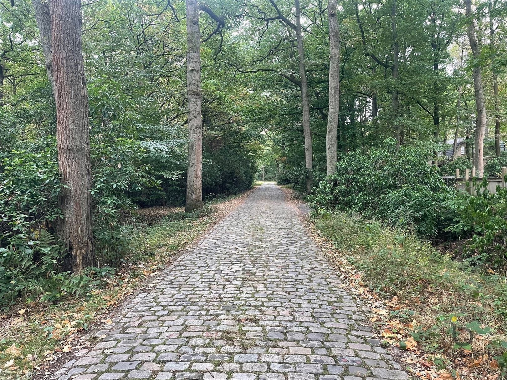 Tof gelegen perceel bouwgrond voor een weekendverblijf op 1.812m² in een rustige en groene omgeving! foto 2