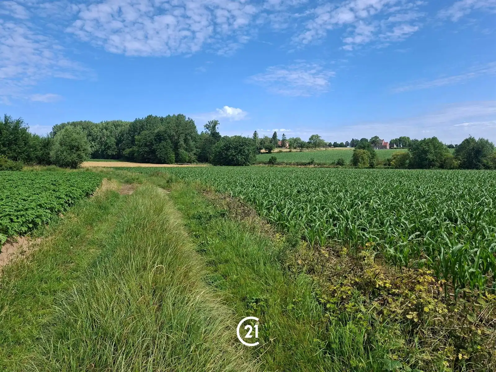 Prachtig perceel landbouwgrond 2hect67 bereikbaar via losweg foto 5