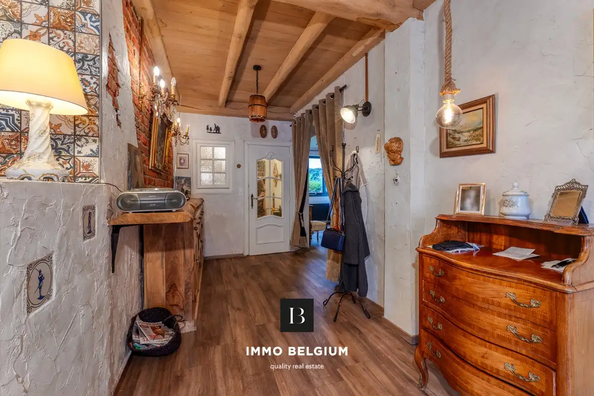 Gerenoveerde eigendom in de Concessie foto 6